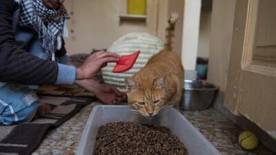 The motel employs five workers who operate the place 24 hours a day, every day of the year. EPA