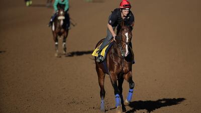 An exercise rider takes Toast of New York for a morning workout ahead of the Breeders' Cup Classic horse race at Santa Anita Park on October 29, 2014, in Arcadia, California. Jae C Hong / AP Photo