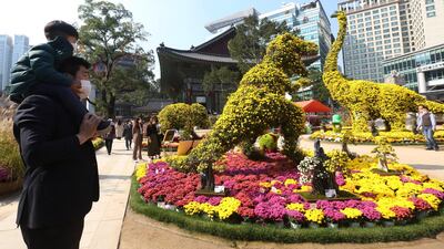 A boy and his father wearing face masks to help curb the spread of the coronavirus watch dinosaurs made of chrysanthemum flowers during the Chrysanthemum festival at the Chogyesa temple in Seoul, South Korea. AP Photo