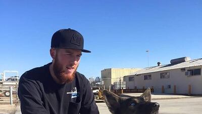 Luna, a German shepherd, went overboard in early February while its owner was working on fishing about three kilometres from the island on which she was found more than a month later. Seaman Cynthia Jackson / US Navy / AFP