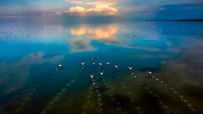 Mehdi Mohebi Puor, Iran, Shortlist, Professional competition, Environment, Sony World Photography Awards.