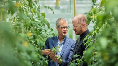Ryan Lefers, right, co-founder and chief executive of Red Sea Farms with fellow co-founder Mark Tester. Saudi Arabia's Red Sea Farms uses mainly saltwater and sunlight to grow crops sustainably. Courtesy: Red Sea Farms