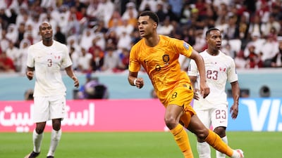 Cody Gakpo of Netherlands celebrates after scoring. Getty