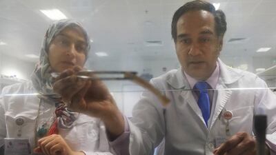 Dr Shyam Kurup, right, an associate professor at UAE University in Al Ain, and Nadia Hassan Tawfik, a molecular biologist, are part of a team that has developed a method of speeding up the propagation of date palm cuttings by dipping them in alcohol and passing them through a naked flame. Delores Johnson / The National