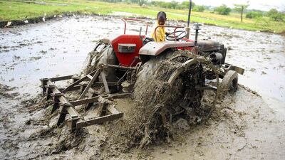An Indian farmer ploughs a field as part of preparations for paddy crop planting on the outskirts of Hyderabad in June. Noah Seelam / AFP
