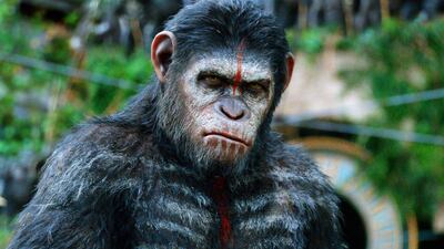 Andy Serkis stars as the ape leader Caesar in Dawn of the Planet of the Apes. Photo: 20th Century Fox
