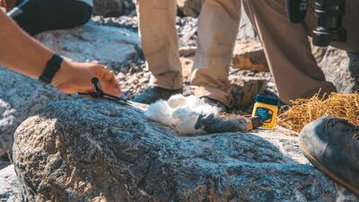 The course teaches essential survival skills, including how to make fire.