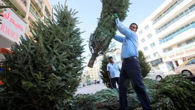 Christmas trees for sale at the plant souk area in Satwa, Dubai. Retailers expect a much better Christmas period compared with last year.