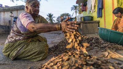 Women sort nuts outside their home in the village of Kuragunda in Karnataka, India. Prashanth Vishwanathan/Bloomberg