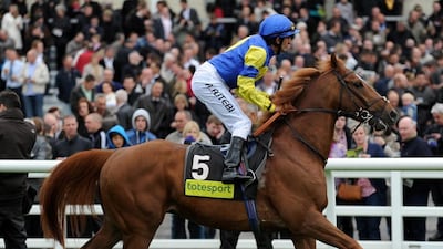 Dubawi shown after the Derby Trial Stakes back in 2010. Photo by Nigel French