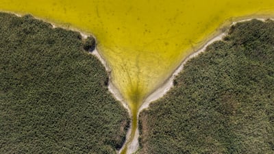 A drone view of Lake Velence, Hungary’s third-largest lake, drying after years of drought and insufficient water retention led to critically low water levels, in Velence, Hungary. Reuters