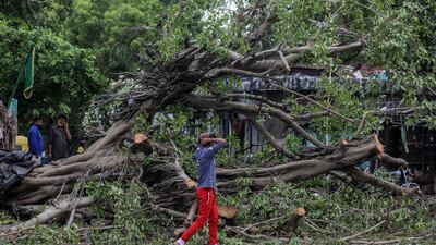People walk past a tree toppled by Cyclone Tauktae in Ahmedabad, Gujarat, India. EPA