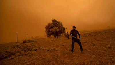 Farmers work in a field on the outskirts of Qamishli during the sandstorm. AFP