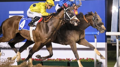 Pilgrim's Treasure, right, was a victor at Meydan on Thursday. Erika Rasmussen for The National