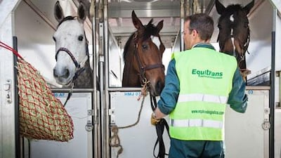 Ground staff at airports realise that horses have to be loaded on a plane with a great deal of care as they are not just any cargo.