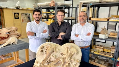 Hesham Sallam, right, with fellow Egyptian paleontologists Abdullah Gohar, left, and Mohamed Sameh and holotype fossils of the extinct Tutcetus rayanensis at the American University in Cairo. AFP