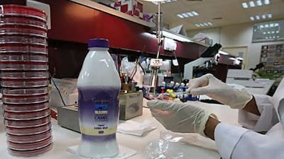 Researchers say camel's milk is healthier than cow's milk because it is lower in fat and cholesterol and richer in potassium, iron and sodium and magnesium.