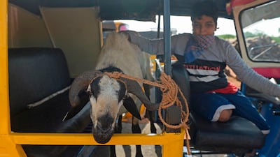 A boy sits next to a tied goat in a rickshaw in Chennai on July 28, 2020. AFP