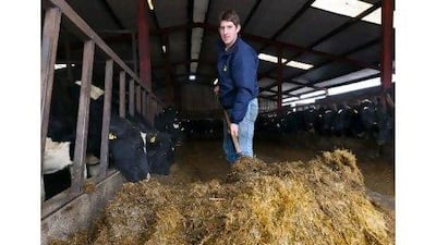 Richie Dollard worked in construction during the economic bubble, but returned to the family farm in county Kilkenny to ride out the slump.