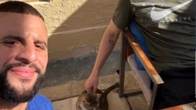 England stars Kyle Walker, left, and John Stones with their new dining partner, Dave. Photo: England Instagram account