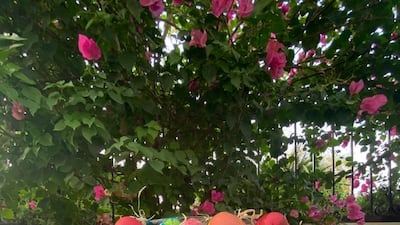 People have been decorating eggs for centuries, and we decided to try our hand at this age-old custom. All photos Razmig Bedirian