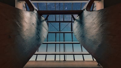 My own little cosmos within reach, taken by Pati John in the Netherlands