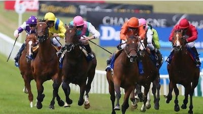 JJ The Jet Plane, ridden by Kevin Shea (pink cap, third from left), in action at Newmarket. Mike Hewitt / Getty Images