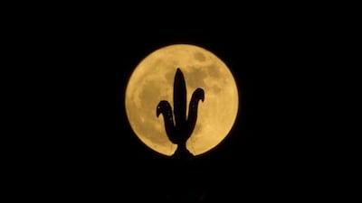 A trident atop the Kamakhya Hindu temple is silhouetted against the rising moon in Gauhati, India. The brightest moon in almost 69 years lights up the sky this week in a treat for star watchers around the globe. Anupam Nath / AP