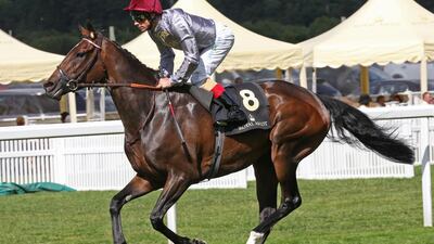 Treve, pictured from the POW Stakes at Royal Ascot in England on June 2014, ran a superb race at Longchamp on Saturday, September 13, 2014. Trevor Jones / Racingfotos.com