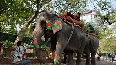 An Indian mahout decorates the trunk of an elephant with a party logo close to the Bharatiya Janata Party headquarters in New Delhi, India. Roberto Schmidt / AFP