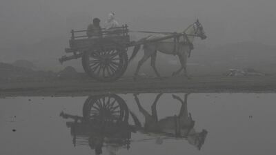 Two Pakistani men ride in a horse-drawn cart on a foggy day in Lahore. Arif Ali / AFP Photo