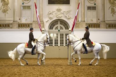 'The performances are of the highest standard' – The Spanish Riding School