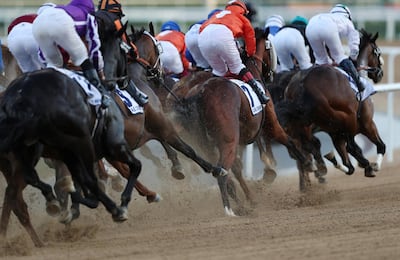 Horses race in the UAE Derby. Reuters