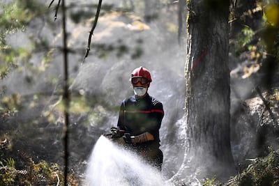A firefighter in Fontainebleau Forest. AFP