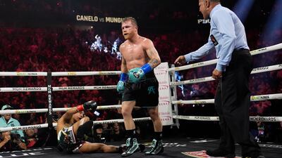 Canelo Alvarez after knocking down Jaime Munguia. AP