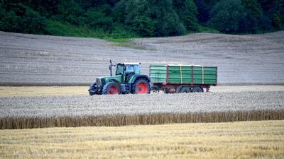 Global production of wheat is expected to grow with climate change but the spread of disease puts increased yields at risk. EPA