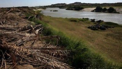 Investors from the UAE, including the Abu Dhabi Fund for Development, have been given a total of 600,000 feddans of farmland in Sudan. AFP