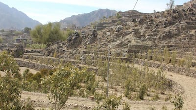 The newly built dams in Abyan province's Rasd district are 3 to 5 metres high, and designed with an oval shape to bear the pressure of water. Mohammed Al Qalisi / The National