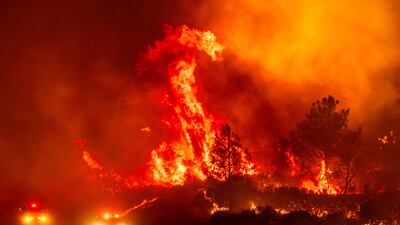 Flames leap above fire vehicles in Tehama County, California. AP Photo