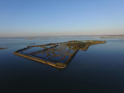 Isola Lagoon, Venice. The Strategic Space
