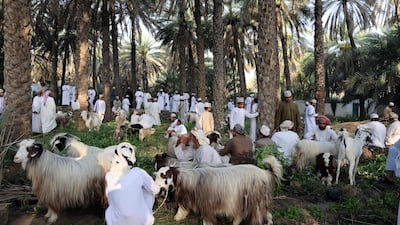 Men gather to buy goats.