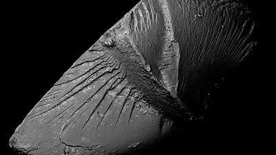 Kikoh Matsuura and Kazuki Ide, Japan, Shortlist, Professional competition, Environment, Sony World Photography Awards.