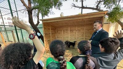 Pupils will learn about farm management, animal care, ecosystems and the origins of their food