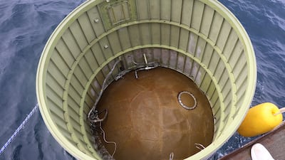 It crashed into sea following a launch failure in waters off Eocheongdo Island in South Korea. Getty