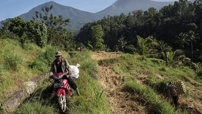 Indonesia was self-sufficient in rice in the early 1980s, but output gradually declined as farmland was used for housing as the population boomed. Above, a farmer transports a sack of paddy stalks at Jatiluwih in Bali. Agung Parameswara / Getty Images