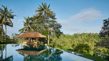 Amandari's hillside villas overlook emerald rice terraces, offering one of Ubud's most peaceful settings. Photo: Aman