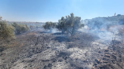 Images exhibited in the Lebanon Pavilion at Venice Biennale document the destruction caused by weapons that use white phosphorous. Photo: Green Southerners