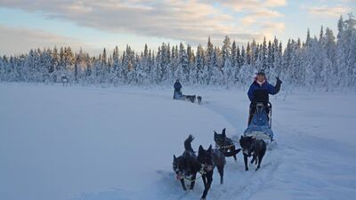 Courtesy Husky Tours