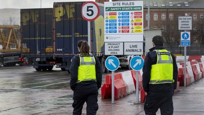 Northern Ireland Agriculture Minister Edwin Poots has ordered that inspections of agricultural food from the UK end from midnight. PA