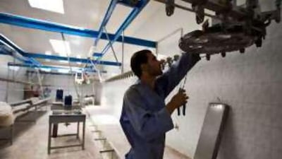An Iraqi worker installs new equipment in a renovated poultry slaughterhouse near Mahmudiyah on Oct 14 2008.